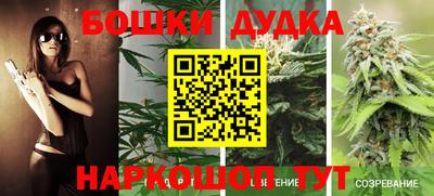 a pvp Канаш