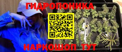 a pvp Канаш