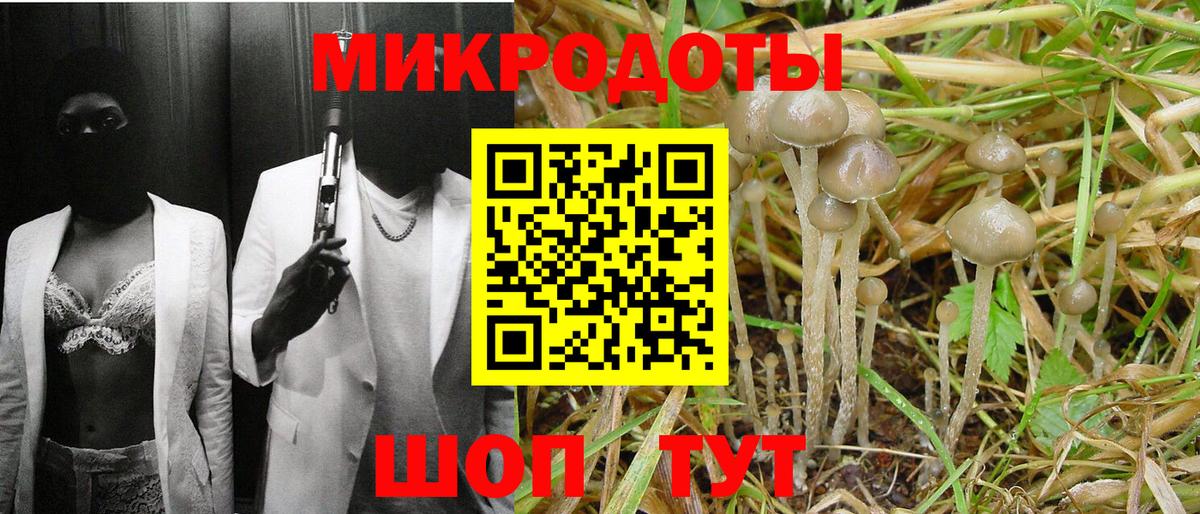 Псилоцибиновые грибы прущие грибы Коряжма