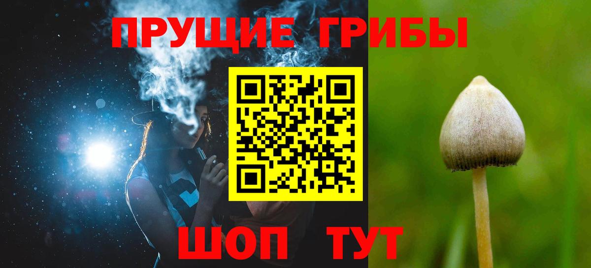 Галлюциногенные грибы Cubensis  Галлюциногенные грибы GOLDEN TEACHER  Коряжма  Вход с VPN 